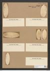 Amphora crassa Greg. (de-Toni-Nr.: Genus 36, Species 1645) Zeichnungen Sammlung Grunow Nr. 3142 (NHMW-BOT-W0370575)